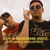 VOY A MORIRME RICO (feat. Shelbyboy) - Freeboyy&Shelbyboy