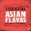 Signs (Remix) - Badmarsh & Shri&UK Apache