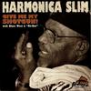 Bright Lights, Big City - Harmonica Slim