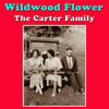 Single Girl Married Girl - The Carter Family