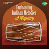 Feelings(Folk)- Pt Shiv Kumar Sharma(Cont'D) - Pt. Shivkumar Sharma