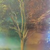 Marble (Explicit) - Andrew Greeley&Khaos Light