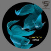 Lunaticos (Original Mix) - XENSO