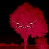 Alone (Explicit) - Nie