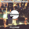 Flying (Original Mix) - Hornybunny&Sound Forces