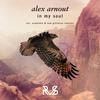 In My Soul - Alex Arnout