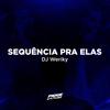 Sêquencia pra elas (Clean Edit(Explicit)) - DJ Weriky&Weriky Raasch