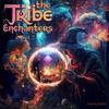 Freedom (Original Mix) - Spatial Plants