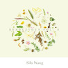 借口 - Silu Wang