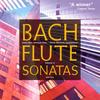 Flute Sonata in E Major, BWV 1035: I. Adagio ma non tanto - Davitt Moroney&Janet See&Mary Springfels