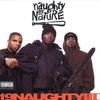 The Only Ones (LP版) - Naughty By Nature