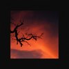 Moya (feat. Alfred Geier) (其他) - Azaleh&Alfred Geier