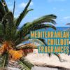 Negril - The Biosnakes