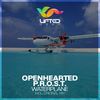 Waterplane (Radio Edit) - Openhearted&P.R.O.S.T.