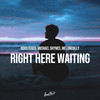 Right Here Waiting - Boostereo&Michael Shynes&MelonColly&Richard Marx