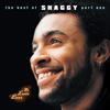 In The Summertime - Shaggy&Rayvon