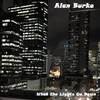 When the Lights Go Down - Alan Burke