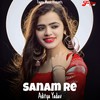 Sanam Re - Aditya Yadav