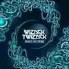 Spirit Molecule - Wizack Twizack