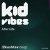 After Life (Original Mix) - Kid Vibes