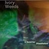 Keep to the Soft (Rivka Remix) - Ivory Weeds&Rivka