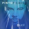 Señal(feat. Vikina) (feat. Vikina) - Pinto Picasso&Vikina