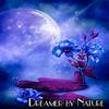 Dreamer by Nature (Paradise Dream Mix) - Danny Hay