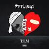 FEELINGS (Explicit) - T.I.M