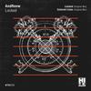 Colored Lines (Original Mix) - Andreew