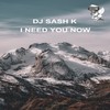 I Need You Now - DJ Sash K