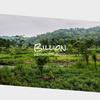Billion Reasonableness - Thaer&Luciy Billu