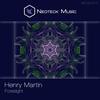 Foresight (Midnight Mix) - Henry Martin