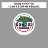 I Can't Stop... - Davis&Santini