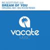 Dream Of You (Original Mix) - Ric Scott&ULA