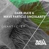Quantic (Original Mix) - Wave Particle Singularity&Dark Mate