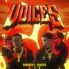 Voices In My Head (Explicit) - Santino Le Saint&CURTXO