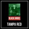 Mean Mistreater Blues - Tampa Red