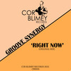 Right Now - Groove Synergy