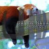 Drunk Bear (Original Mix) - Davide Nava