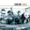 Scarlet Begonias - Sublime