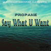 Say What U Want (Explicit) - Propane