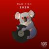 2020 - Raw Fish