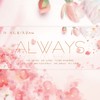 ALWAYS (cover: 윤미래) - 浅安Aria&YC尤其