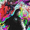 WDIMTY - Cxsm