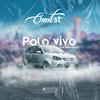 Polo Vivo(feat. Maeywon) - Omit ST&Maeywon