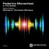 In the Shade (Christian Monique Remix) - Federico Monachesi