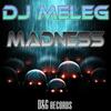 Madness (Original Mix) - DJ Meleg