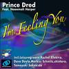 I'm Feeling You (Original Afrosoul Mix) - Prince Dred&Naeemah Harper