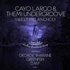 Sweet Melancholy (Greenfish Remix) - Dio S&Themi Undergroove