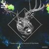 To The End Of The World (Original Mix) - Vlada Asanin